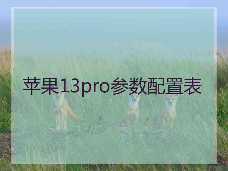 苹果13pro参数配置表