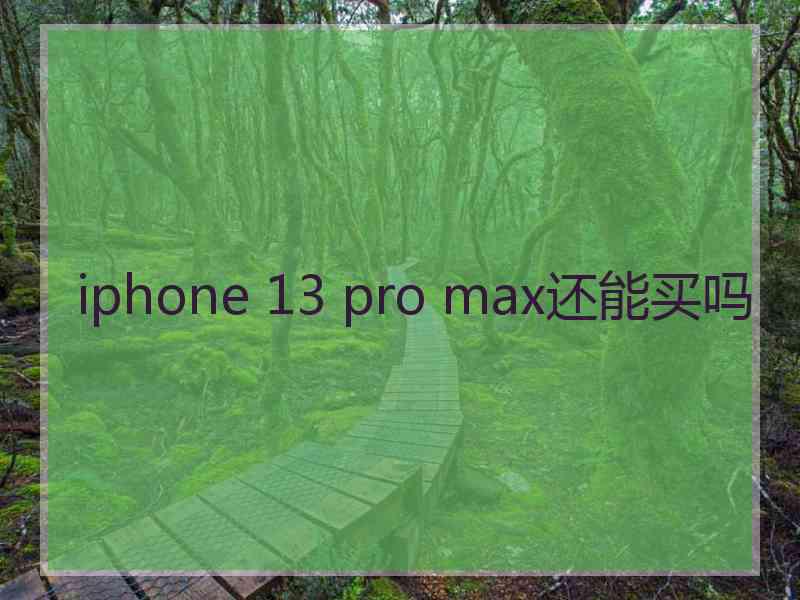 iphone 13 pro max还能买吗