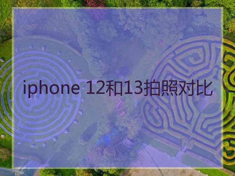 iphone 12和13拍照对比