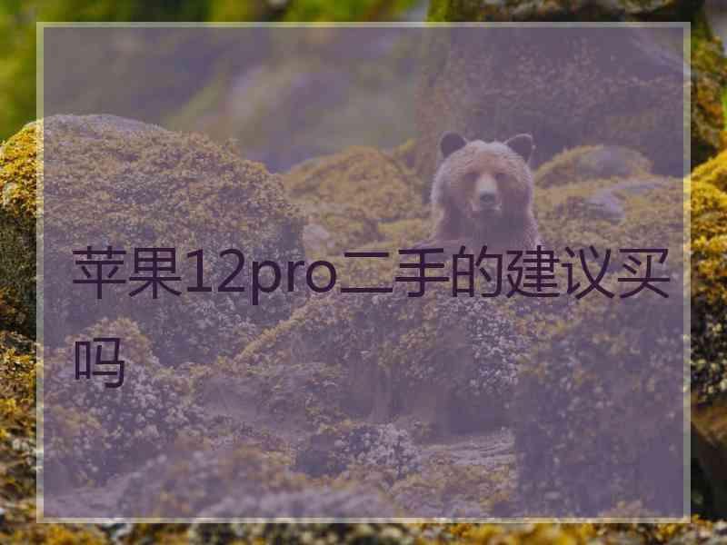 苹果12pro二手的建议买吗