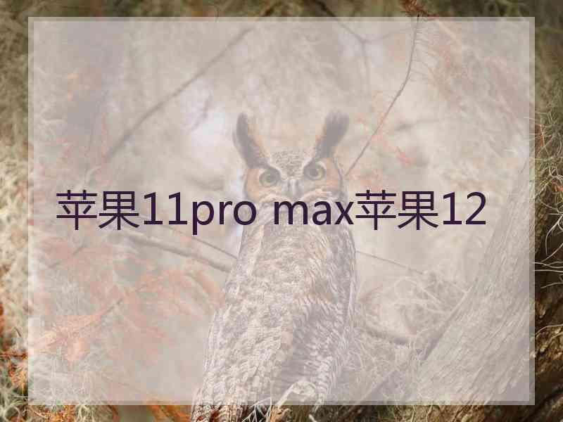 苹果11pro max苹果12