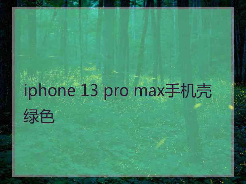 iphone 13 pro max手机壳绿色