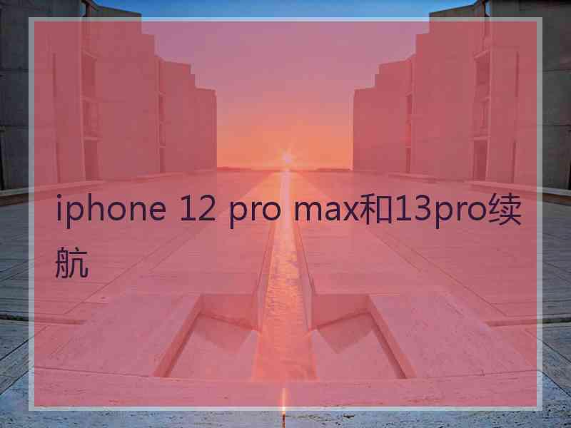 iphone 12 pro max和13pro续航