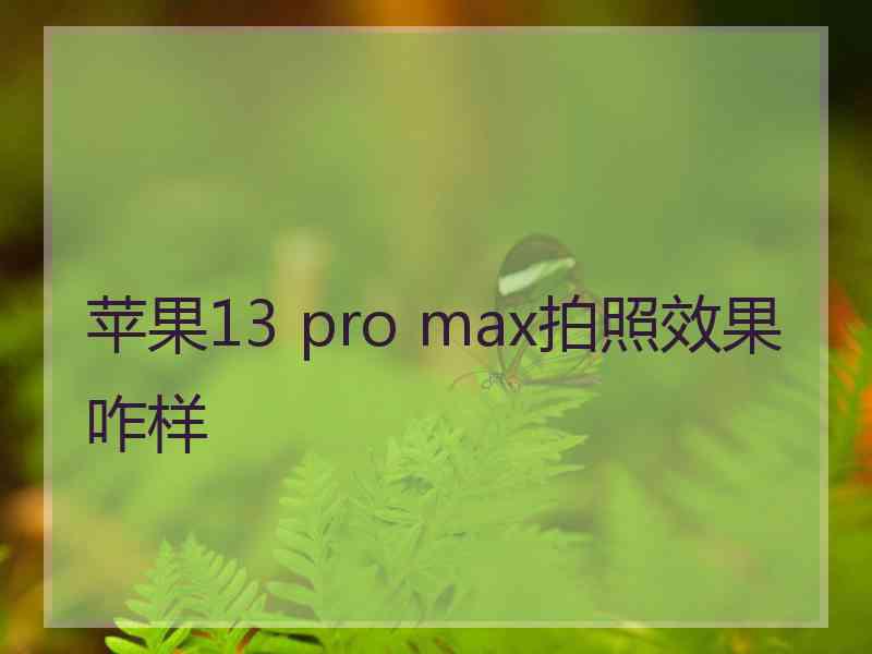 苹果13 pro max拍照效果咋样