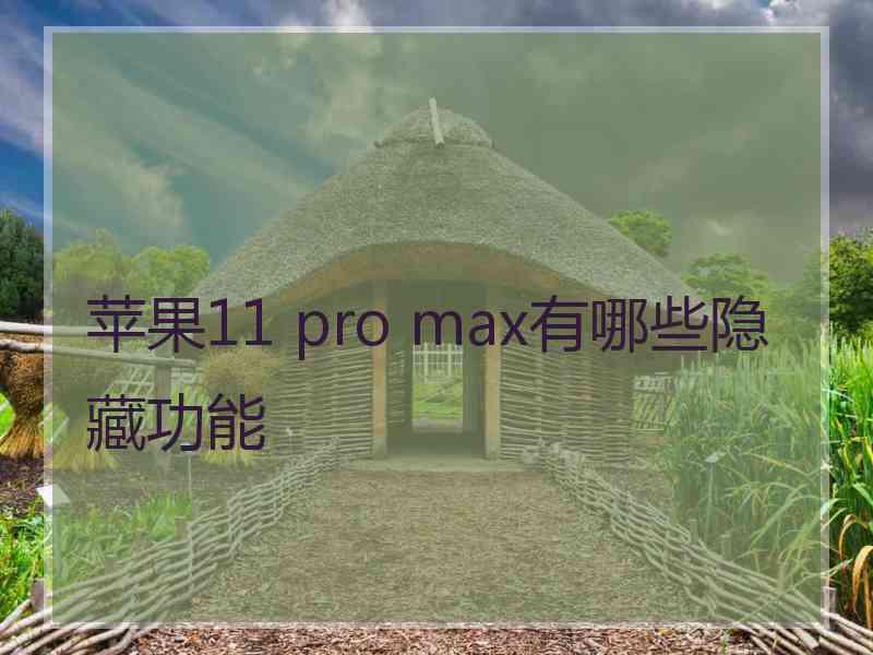 苹果11 pro max有哪些隐藏功能