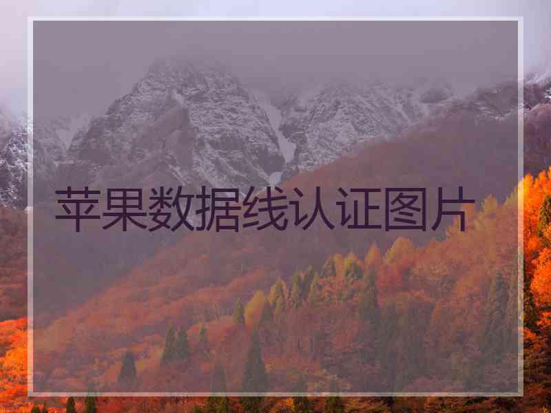 苹果数据线认证图片