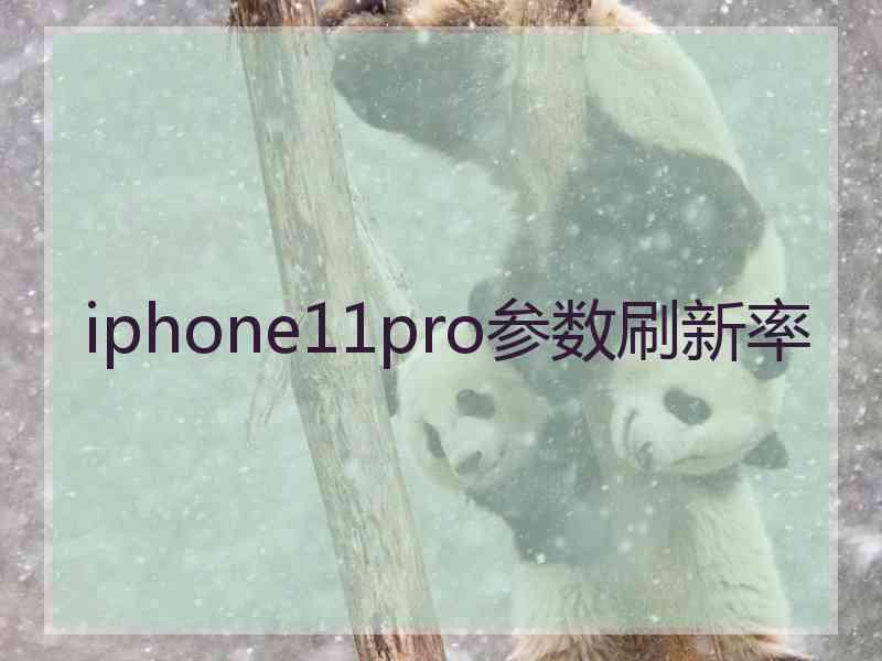 iphone11pro参数刷新率