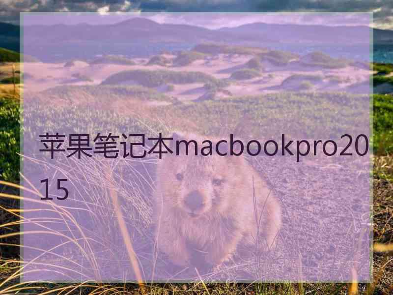 苹果笔记本macbookpro2015