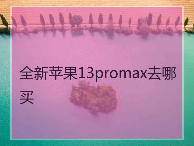 全新苹果13promax去哪买