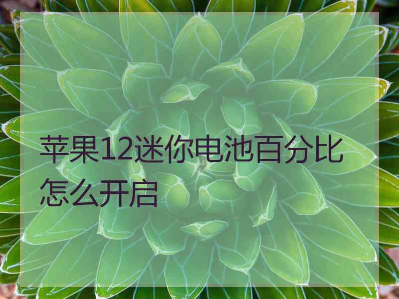 苹果12迷你电池百分比怎么开启