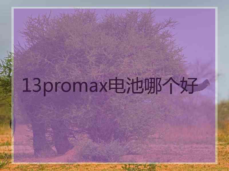 13promax电池哪个好