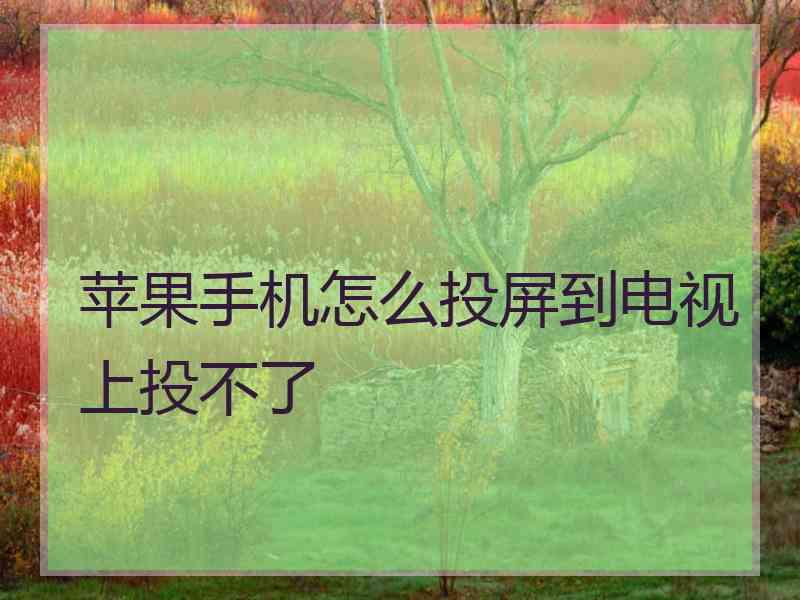 苹果手机怎么投屏到电视上投不了