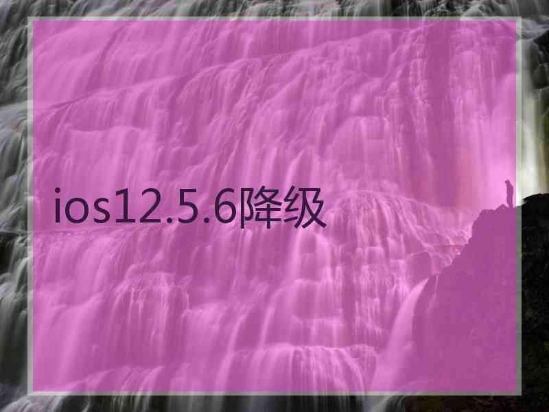 ios12.5.6降级