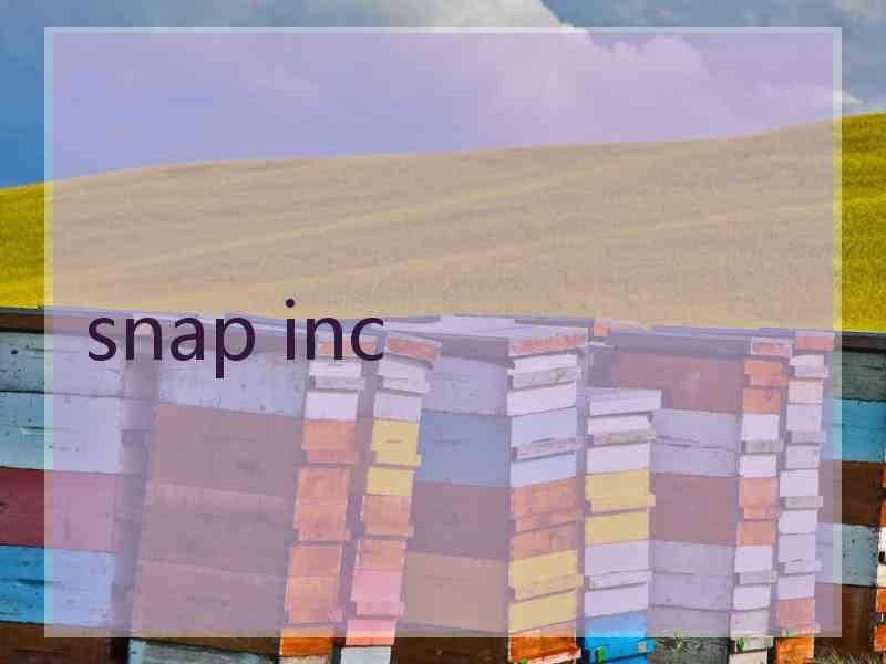 snap inc