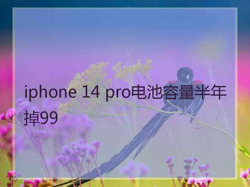 iphone 14 pro电池容量半年掉99