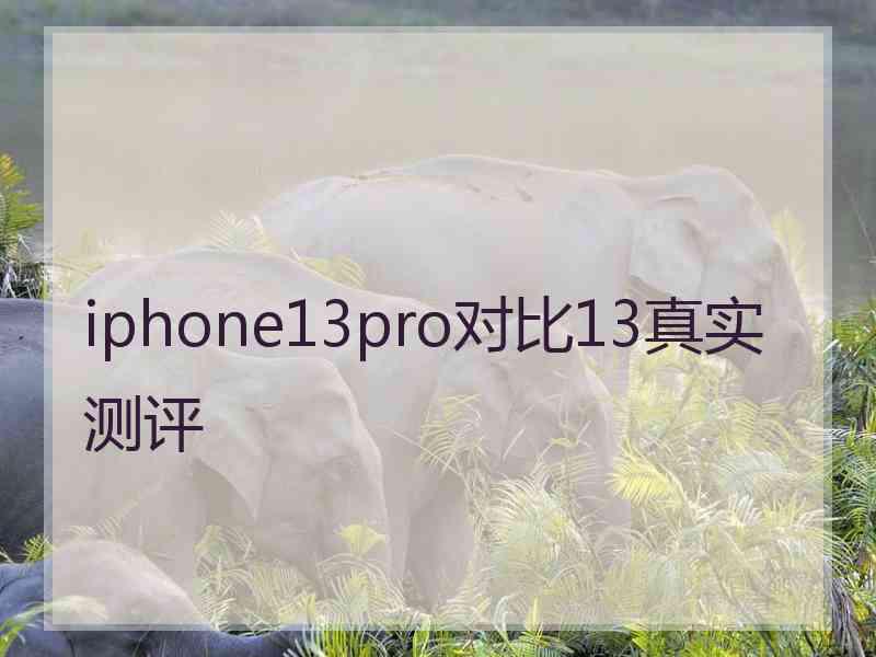 iphone13pro对比13真实测评