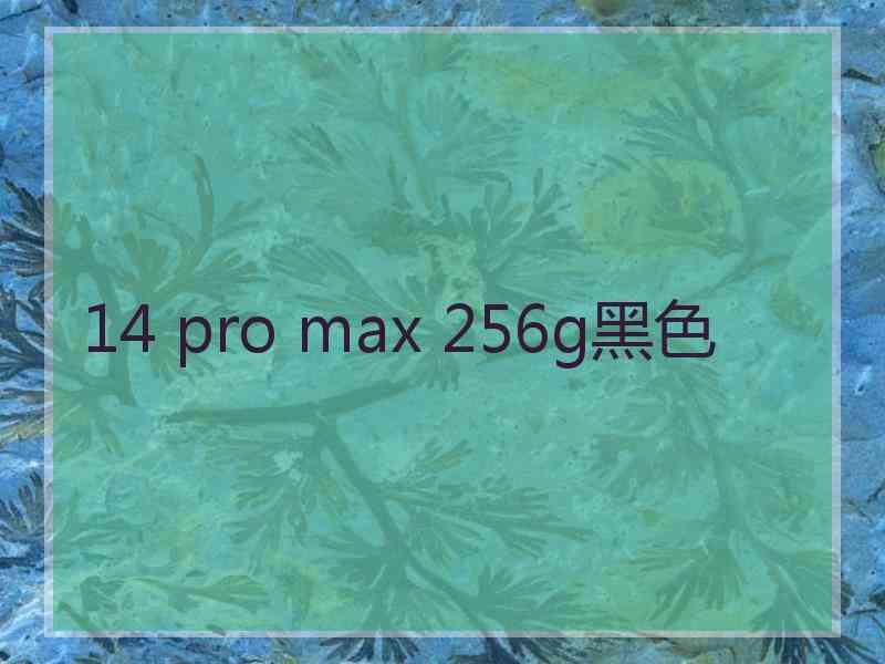 14 pro max 256g黑色