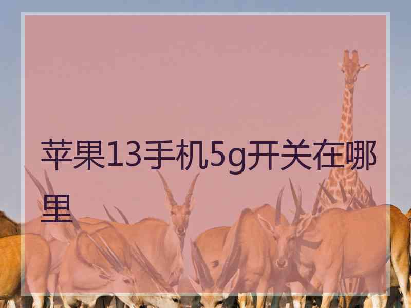 苹果13手机5g开关在哪里