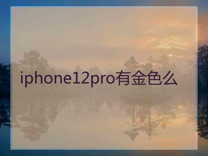 iphone12pro有金色么