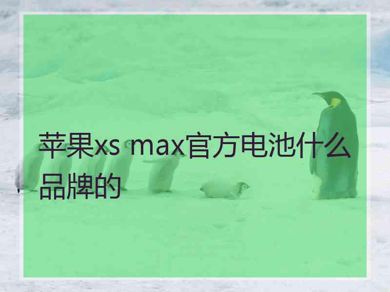 苹果xs max官方电池什么品牌的