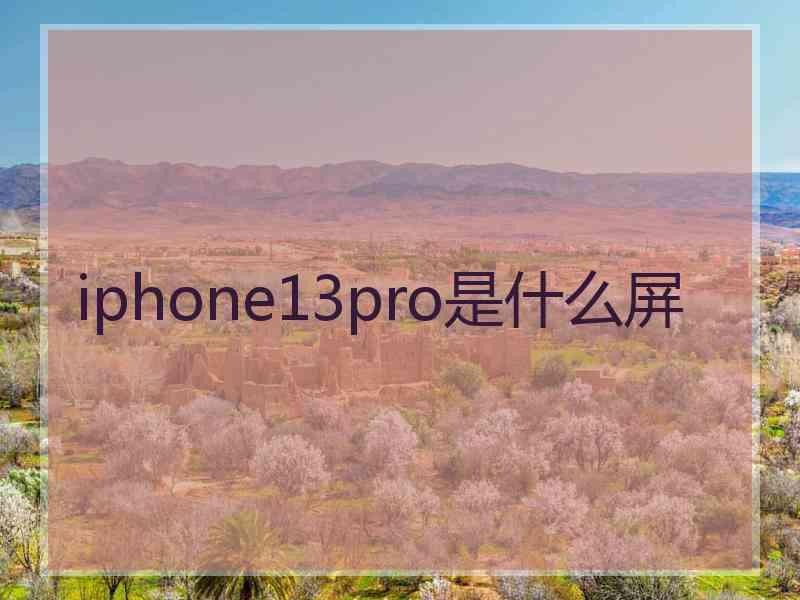 iphone13pro是什么屏