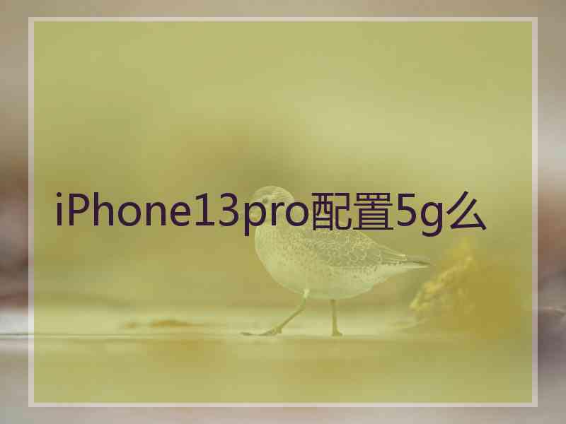 iPhone13pro配置5g么