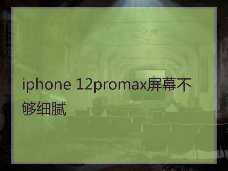 iphone 12promax屏幕不够细腻