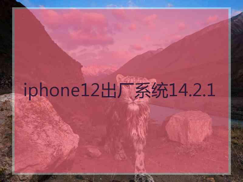 iphone12出厂系统14.2.1