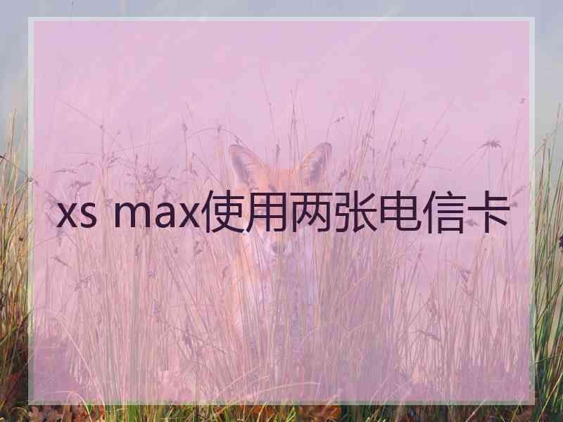 xs max使用两张电信卡