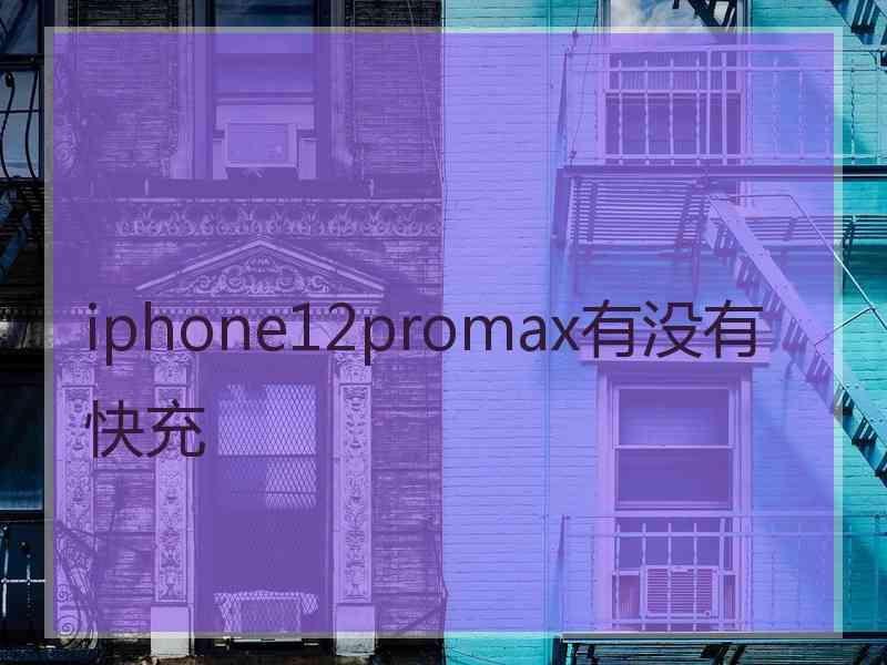 iphone12promax有没有快充