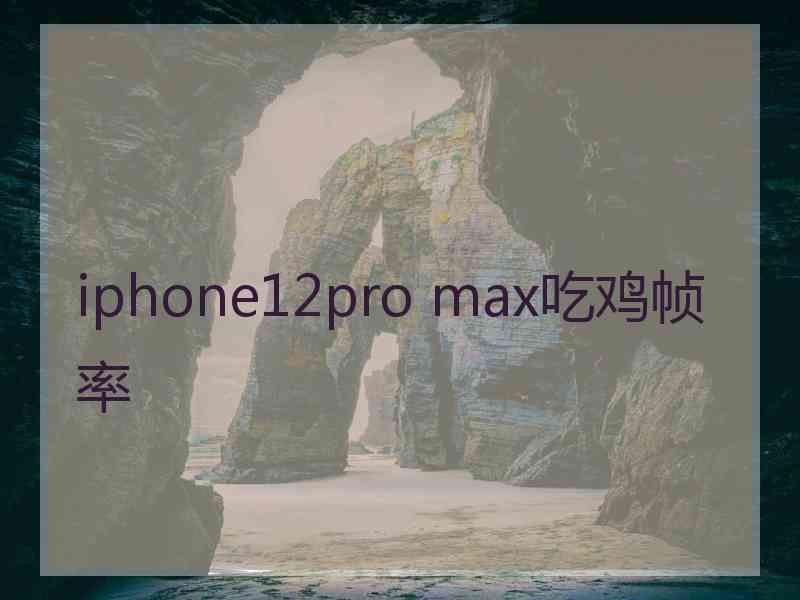 iphone12pro max吃鸡帧率