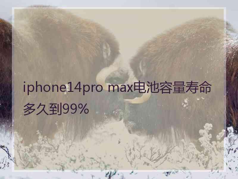 iphone14pro max电池容量寿命多久到99%