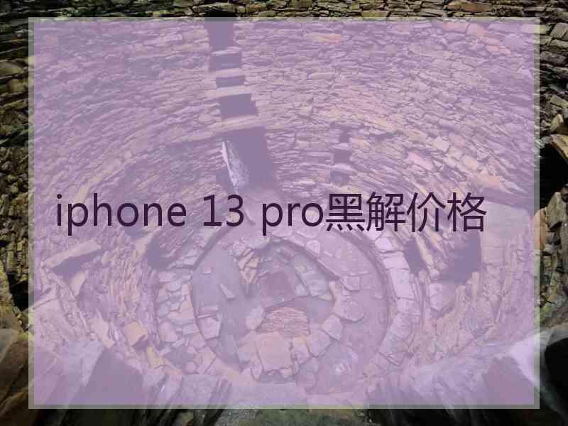 iphone 13 pro黑解价格