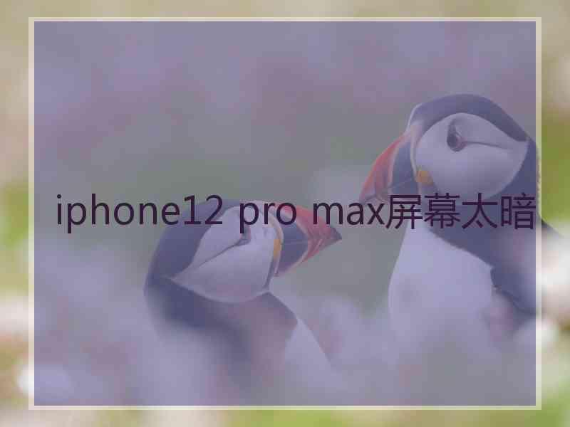 iphone12 pro max屏幕太暗