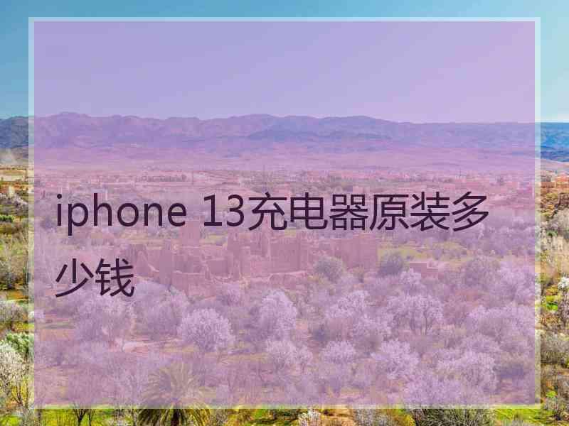 iphone 13充电器原装多少钱