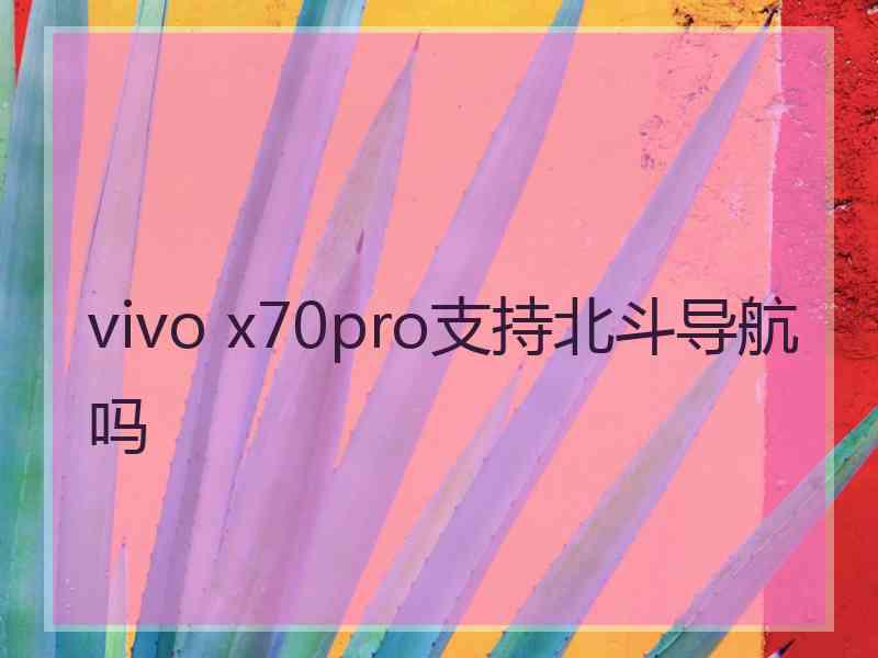 vivo x70pro支持北斗导航吗