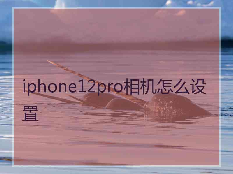 iphone12pro相机怎么设置