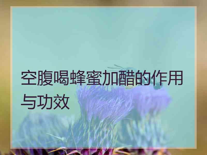 空腹喝蜂蜜加醋的作用与功效