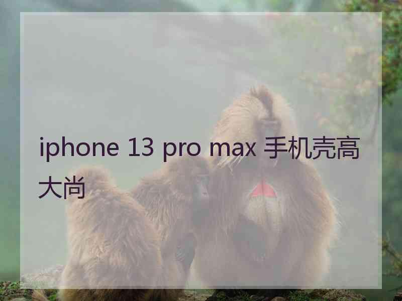 iphone 13 pro max 手机壳高大尚