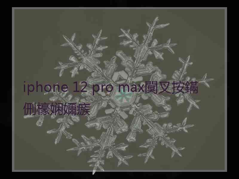 iphone 12 pro max闃叉按鏋侀檺娴嬭瘯