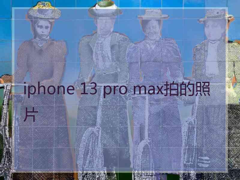 iphone 13 pro max拍的照片