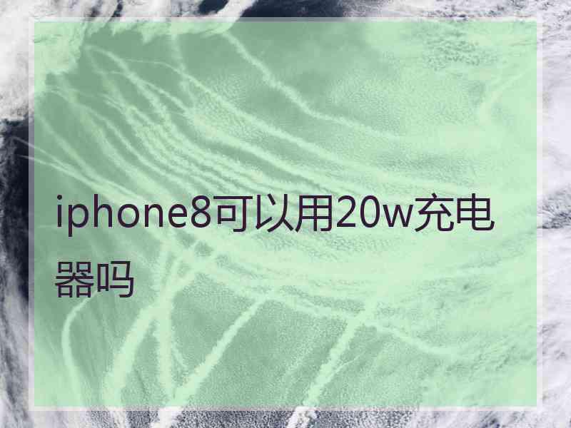 iphone8可以用20w充电器吗