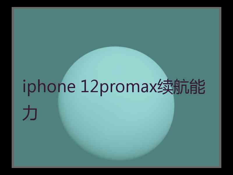 iphone 12promax续航能力