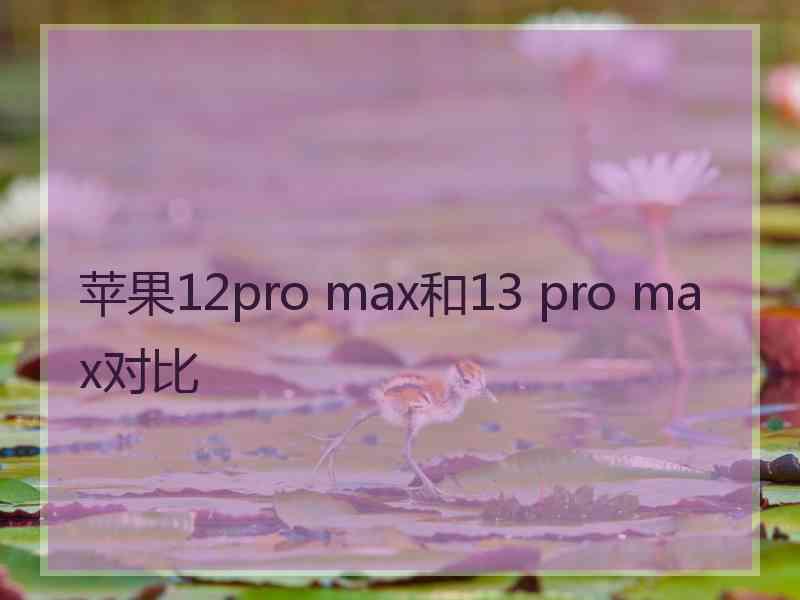 苹果12pro max和13 pro max对比