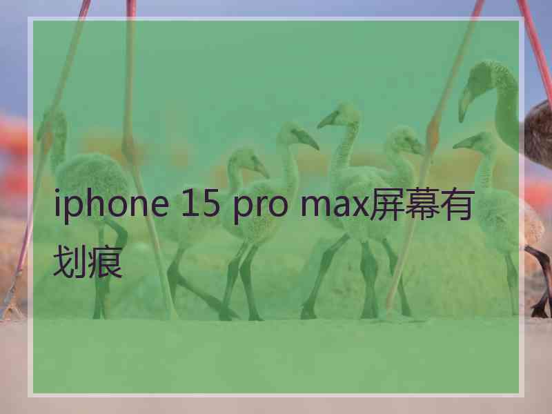 iphone 15 pro max屏幕有划痕