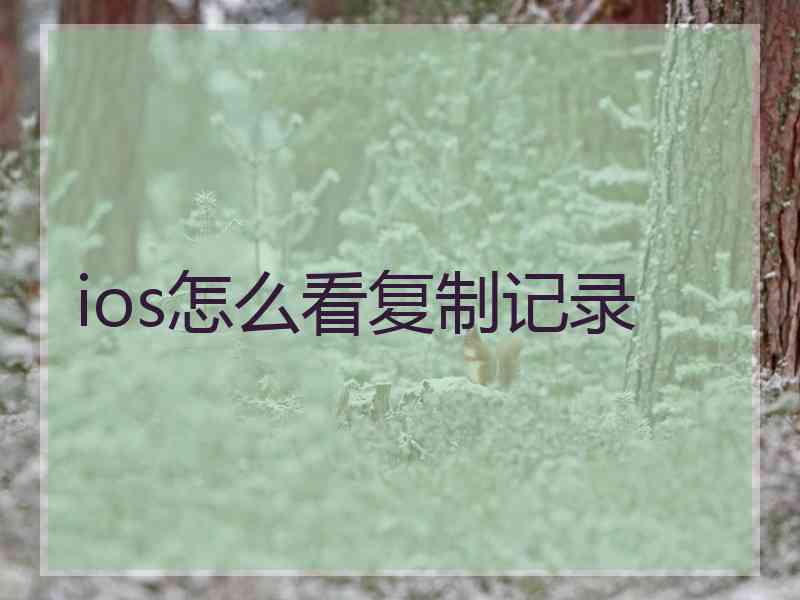 ios怎么看复制记录