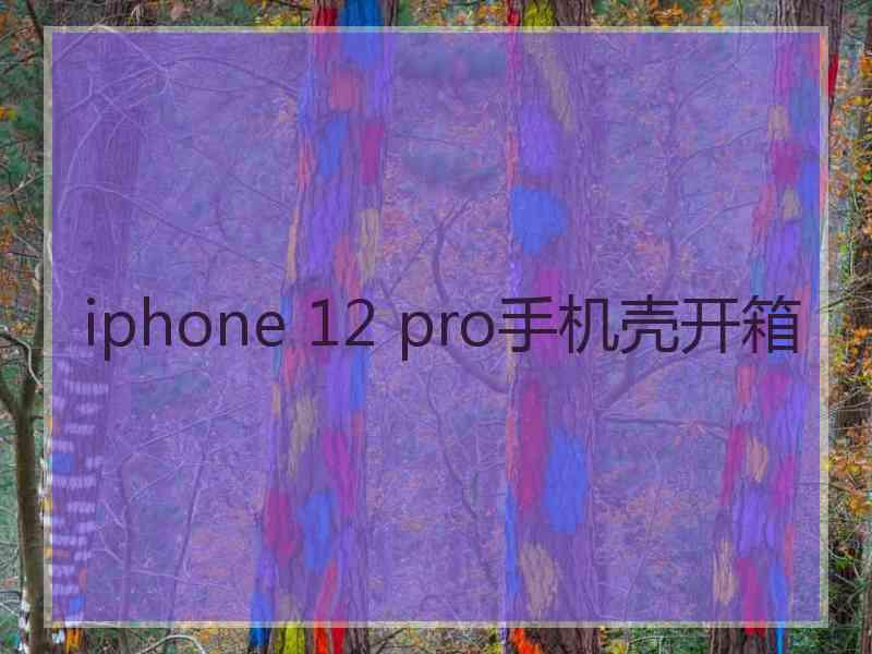 iphone 12 pro手机壳开箱