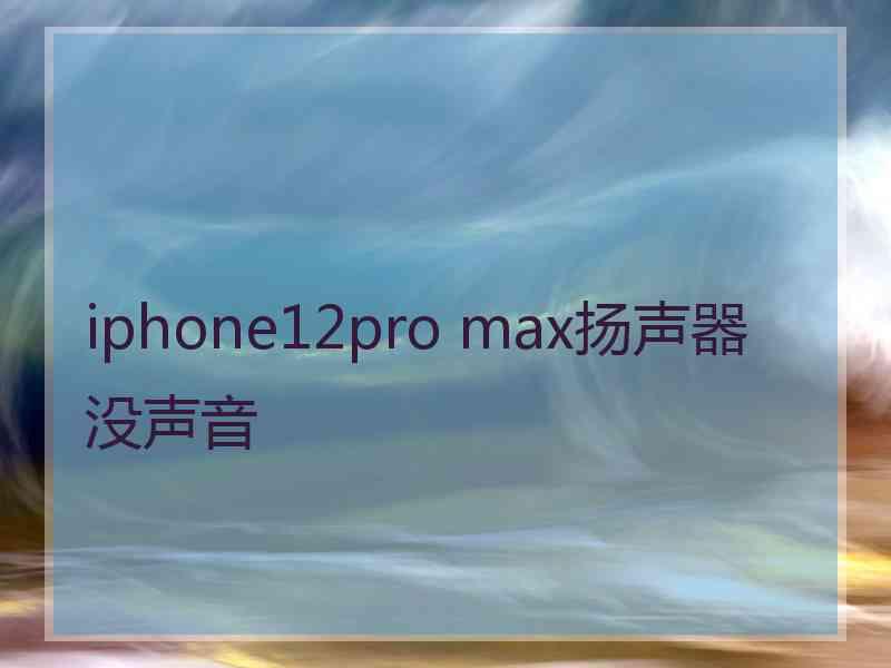 iphone12pro max扬声器没声音