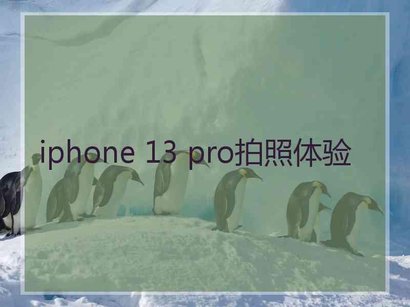 iphone 13 pro拍照体验