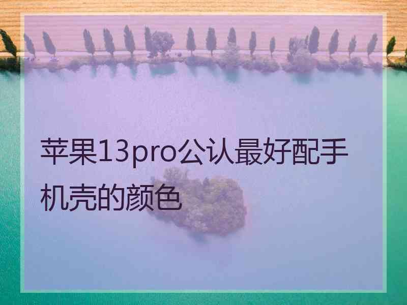 苹果13pro公认最好配手机壳的颜色